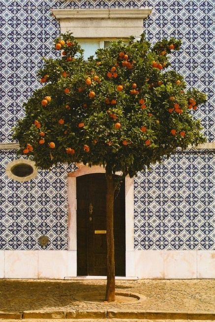 SOUFFLE NOUVEAU